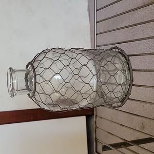 Chicken wire vase